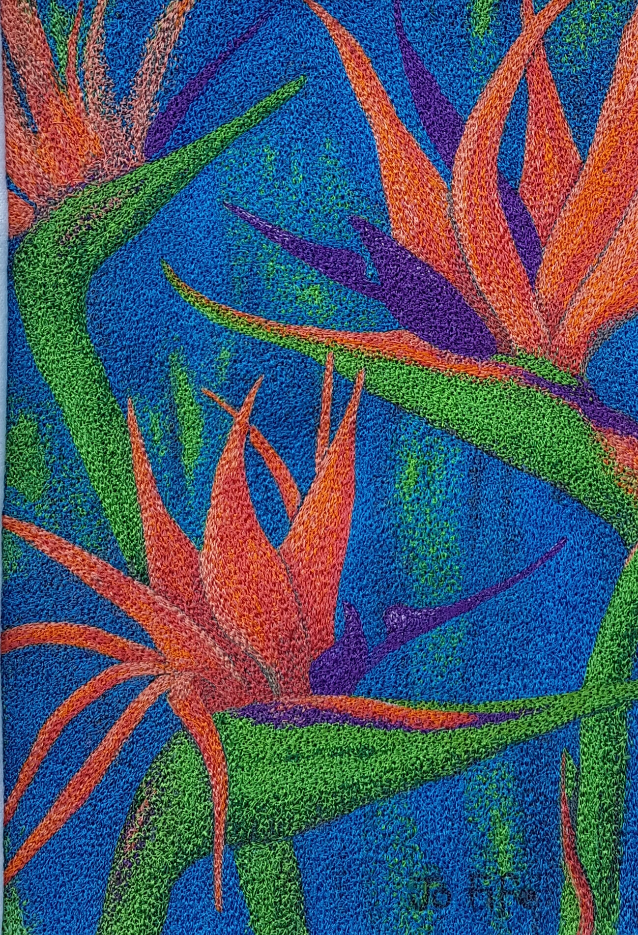 Birds of Paradise