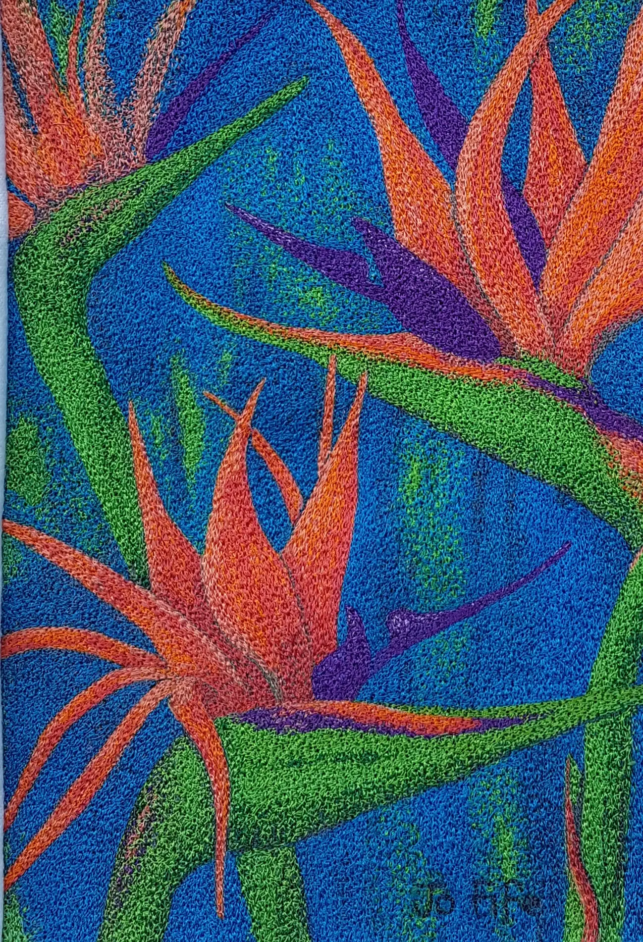 Birds of Paradise